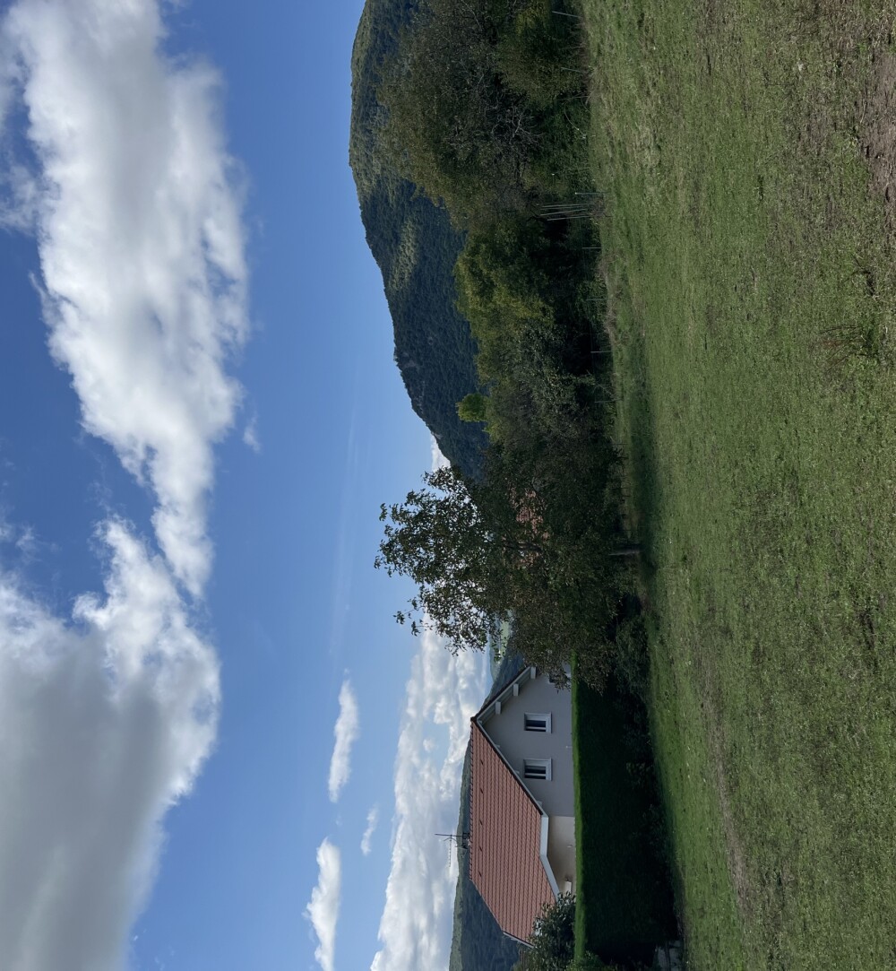 img_0392.jpeg