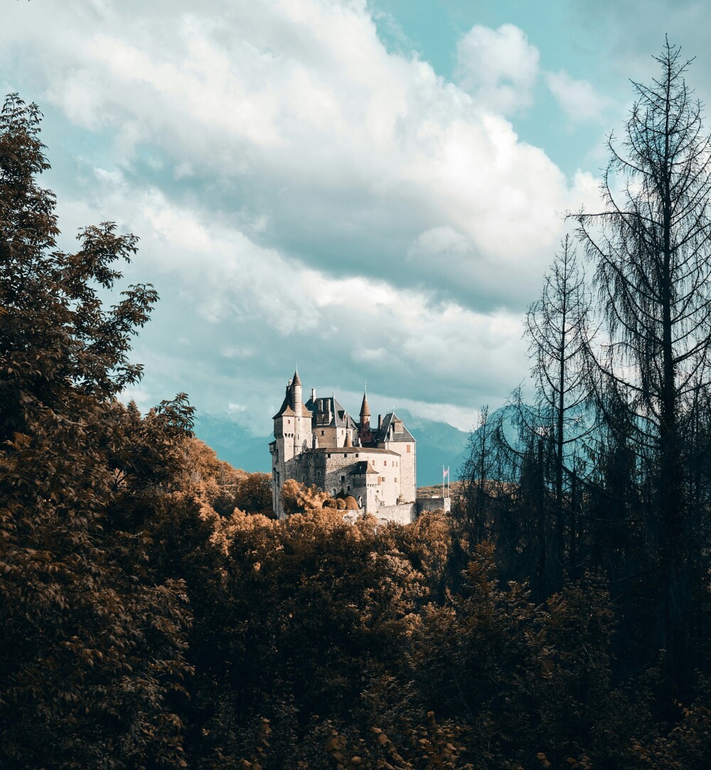 maxime_gilbert_nj_crg6lr9g_unsplash.jpg