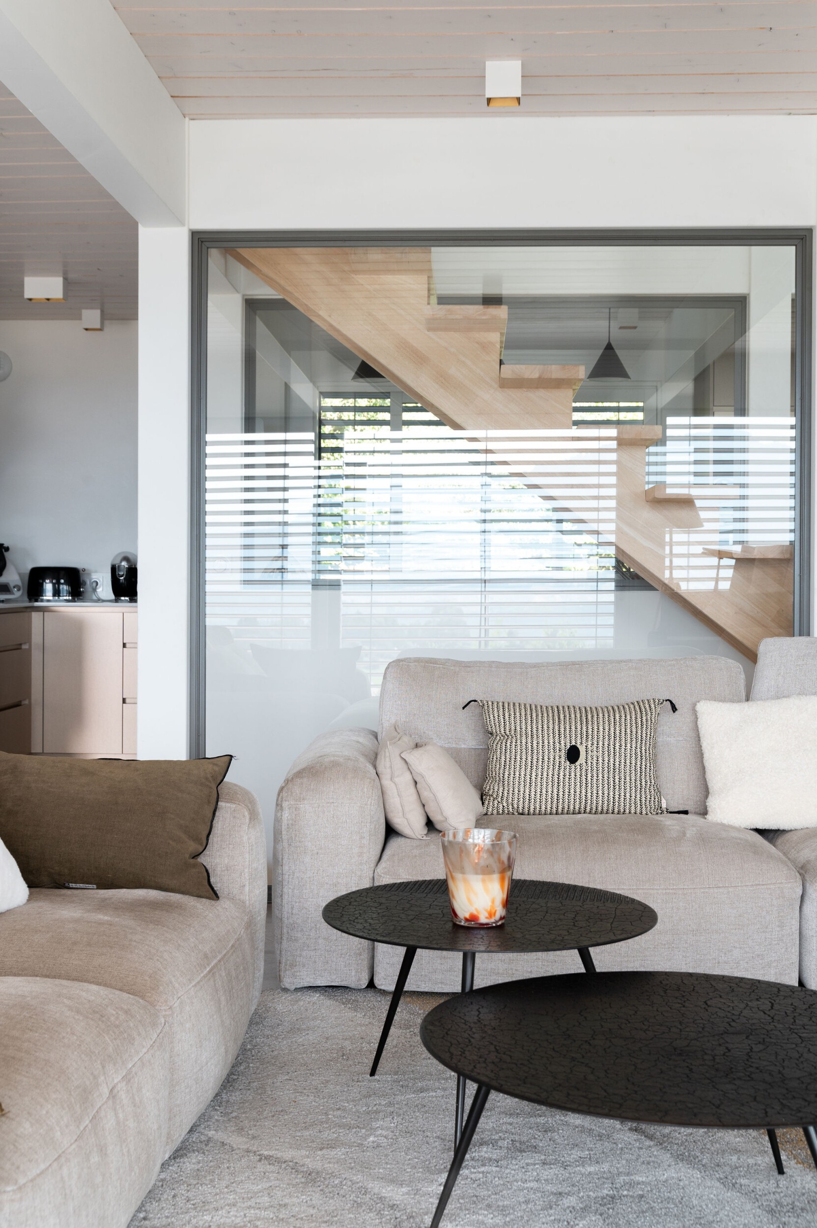 _maison_annecy_constrcteur_de_villa_architecture_eden_home14.jpg