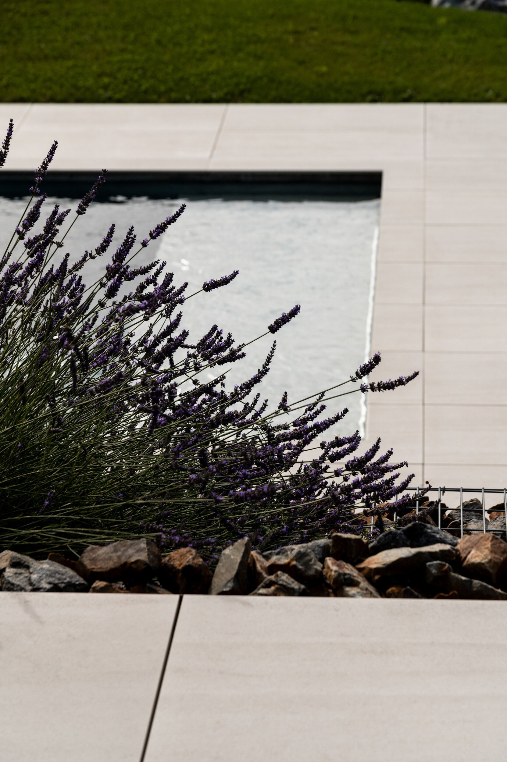 _maison_annecy_constrcteur_de_villa_architecture_eden_home8.jpg